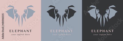 Elephant logo vector