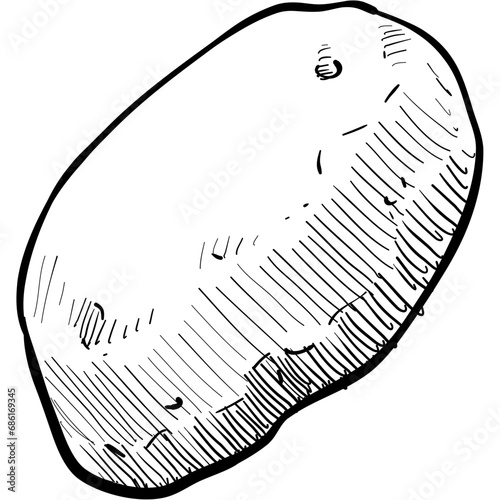 potato handdrawn illustration