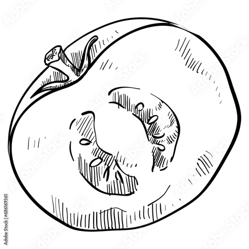 tomato handdrawn illustration