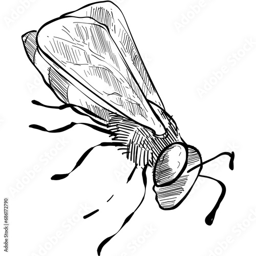 Bee handdrawn illustration