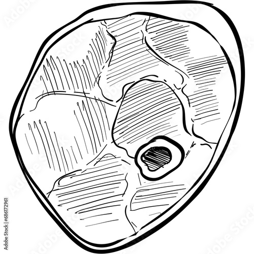 meat handdrawn illustration