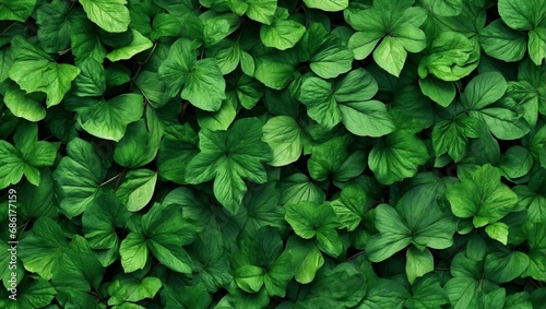 a close up of a bunch of green leaves 