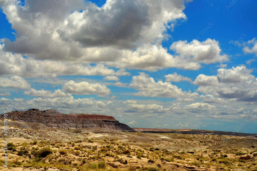 Fototapeta premium Rugged and Desolate Landscape Petrified Forest Arizona