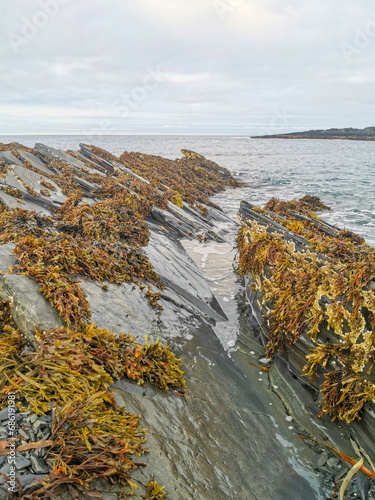 The rocky coast of the Barents Sea. Beautiful view of the rocks and the coast of the Rybachy and Sredny peninsulas, Murmansk region, Russia. The landscape is the harsh beauty of the north. photo