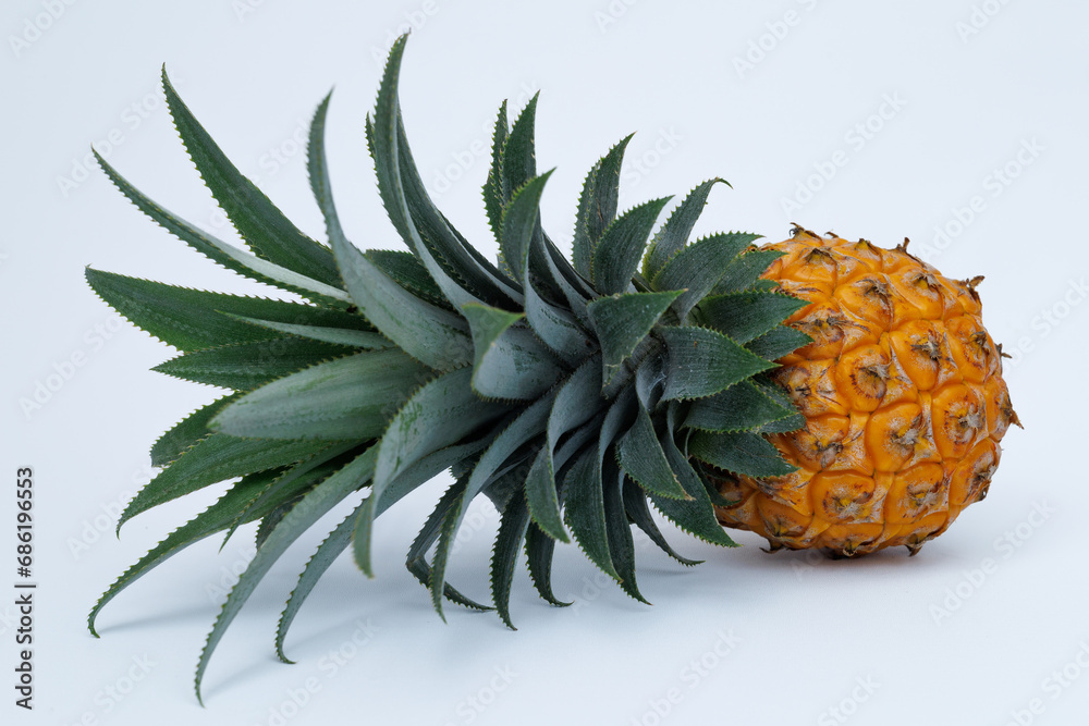 Singgle whole pineapple isolated on white with clipping path. whole honey pineapple fruit isolated on white with clipping path Singgle whole pineapple isolated on white with clipping path. whole honey pineapple fruit isolated on white with clipping path