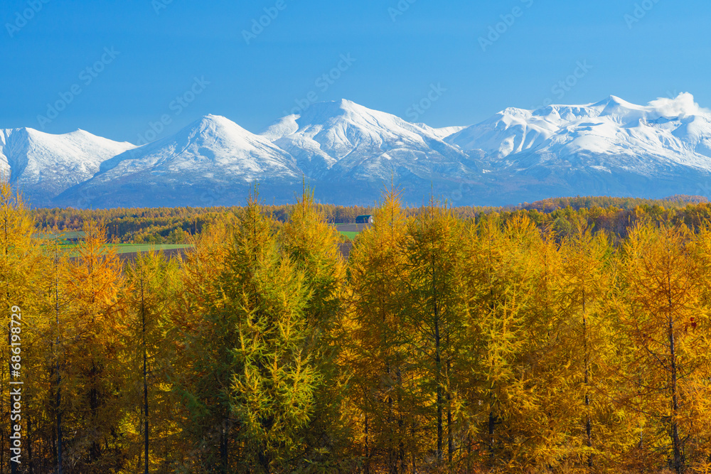 初冠雪の十勝岳連峰と美瑛の丘