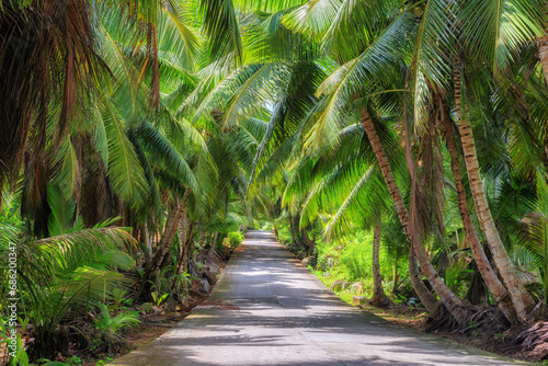 Scenic road surrounded by palm trees in a rainforest in a jungle on a tropical island.