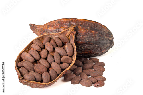 Roasted cocoa beans in dried cocoa pods, cut in half, placed on top of dried cocoa. isolated on white background.
