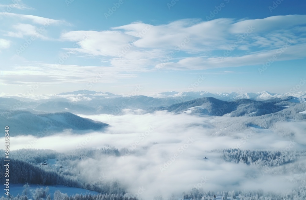 aerial view of a winter scene including winter trees