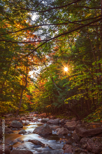 Fototapeta Naklejka Na Ścianę i Meble -  Rays of golden sunlight filter through a canopy of trees and illuminate the clear water of a mountain brook as it tumbles down a rocky stream bed.