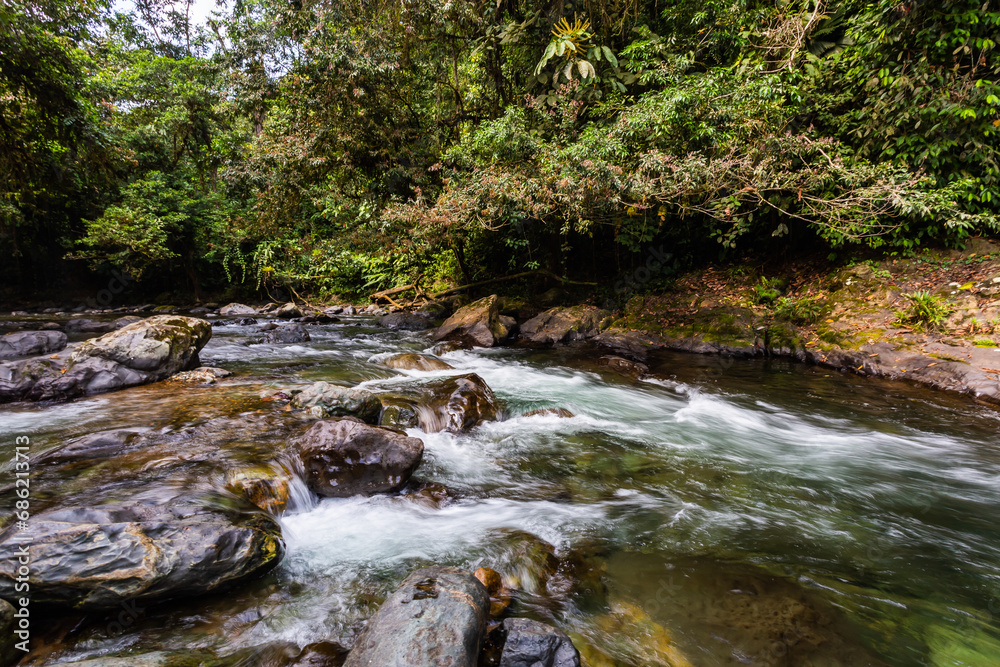 Obraz premium Andean choco river