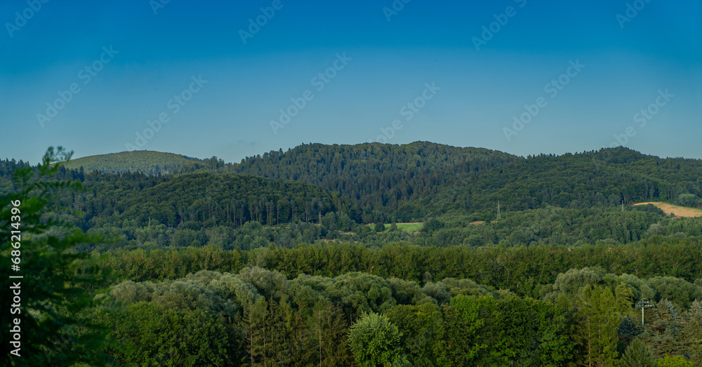 Panoramic view of the hills and forests 