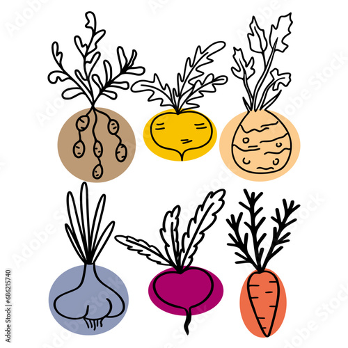 Vegetables set of vector illustration, healty food, veggies, vegetable stickers, clipart, color spot