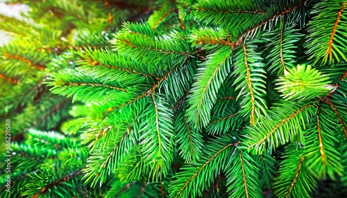 spruce branch green fir realistic christmas tree llustration for xmas cards new year party posters background generative ai