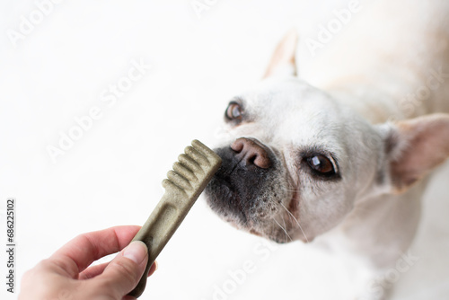 Dog dental care concept. Dental treats for dogs. Dog products. photo