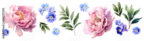 Modern watercolor floral vector set. Collage contemporary set of elements. Hand drawn realistic peony flowers.