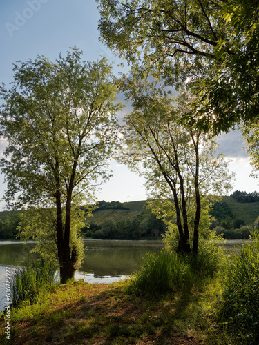 Abend am Obereisenheimer Badesee zwischen Main und der Mainebene bei Obereisenheim, Landkreis Würzburg, Franken, Unterfranken, Bayern, Deutschland