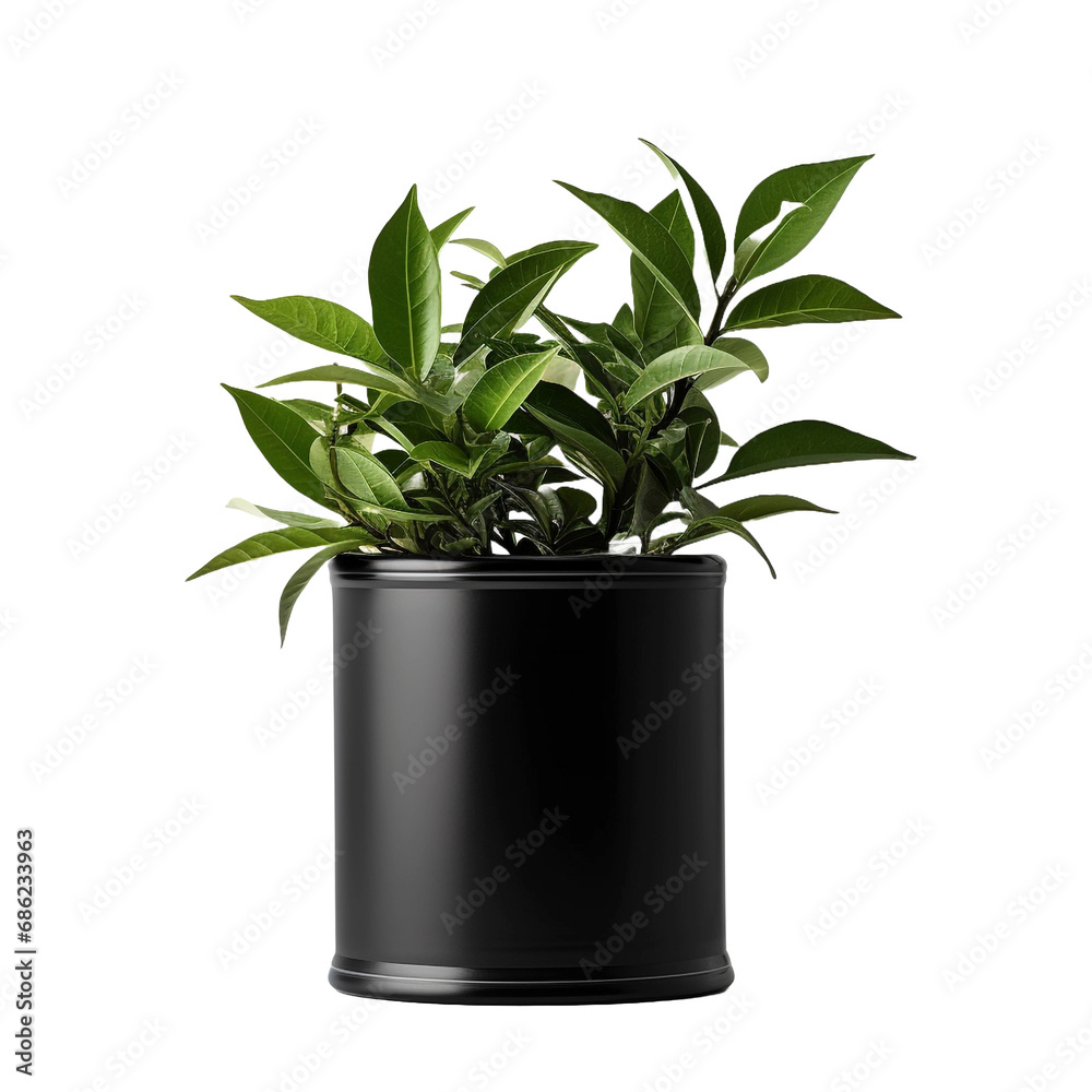 Balsam in black container isolated on transparent background Balsam in black container isolated on transparent background