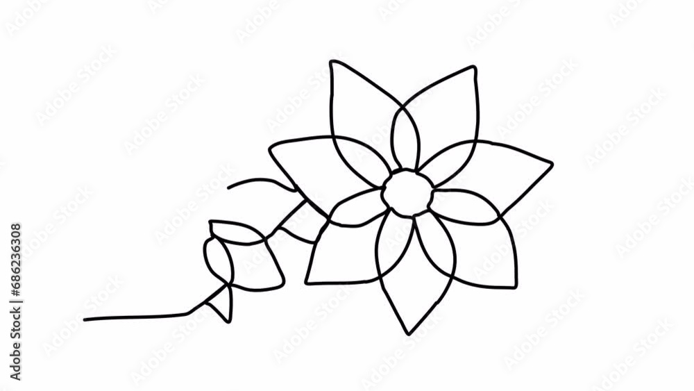 Flowers one line drawing animation. Video clip with alpha channel.
