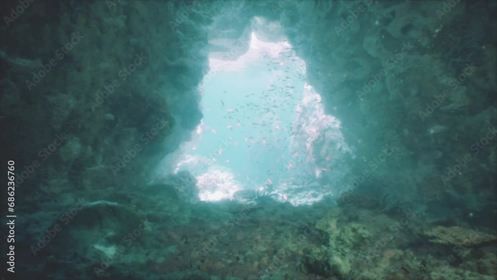 A natural cave with a mesmerizing hole in the center surrounded by vibrant underwater coral and fish A natural cave with a mesmerizing hole in the center surrounded by vibrant underwater coral and fish