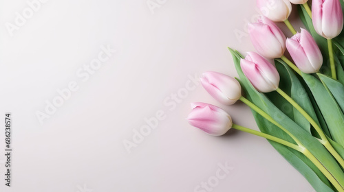 Beautiful light pink tulips on a beige background with copy space for text. Top view. Spring background.