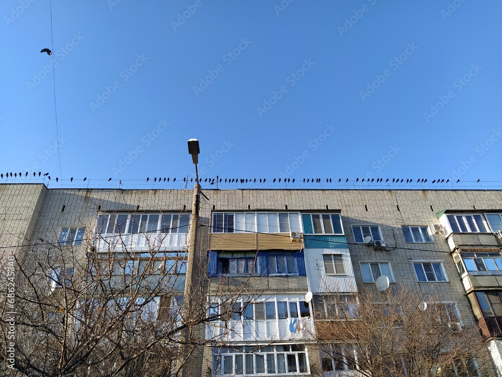 A large flock of crows sitting on the roof of an apartment building A large flock of crows sitting on the roof of an apartment building