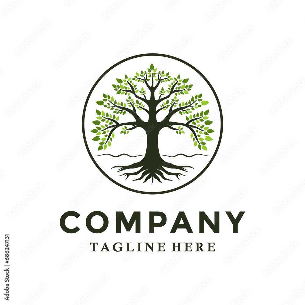 Obraz premium Tree of Life Root and Leaf logo design, Abstract Balance Oak Banyan Maple logo vector illustration