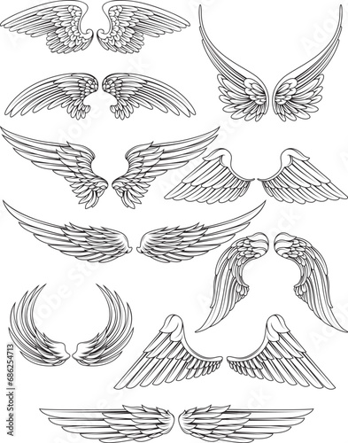 set of different wings silhouette 