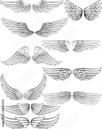 set of beautiful wings isolated