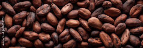 A vibrant backdrop showcasing the rich hues of ripe cocoa beans