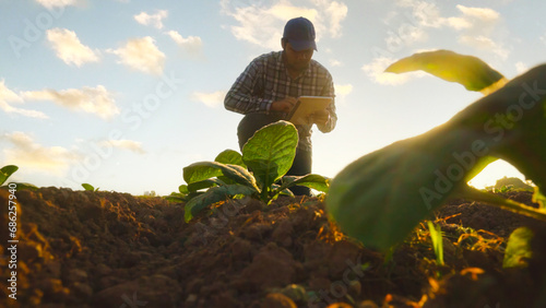 Asian young farmers and tobacco agriculturist utilize the core data network in the Internet from the tablet to validate, test in a tobacco field.