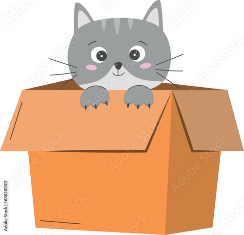 Vector cute gray cat in box isolated on white background