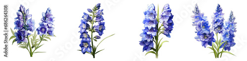 Delphinium clipart collection, vector, icons isolated on transparent background