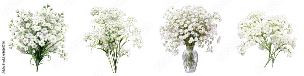 Gypsophila (Baby's Breath) clipart collection, vector, icons isolated on transparent background - obrazy, fototapety, plakaty 