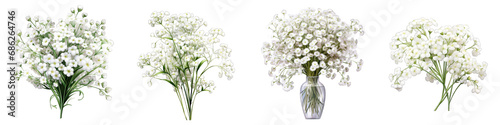 Gypsophila (Baby's Breath) clipart collection, vector, icons isolated on transparent background photo