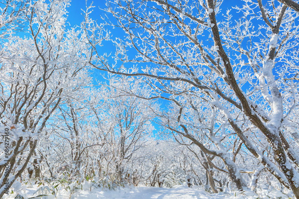 Winter Mountain Snowflake Tracking. A view of a hiking trail in Deogyusan Mountain, Muju-si, Jeollabuk-do, Korea with white snow and frost. Winter Mountain Snowflake Tracking. A view of a hiking trail in Deogyusan Mountain, Muju-si, Jeollabuk-do, Korea with white snow and frost.