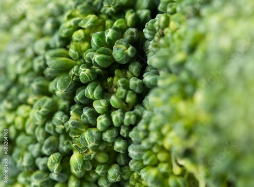 macro background of broccoli, front view