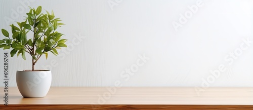 Wooden desk with potted tree on white wall space for text