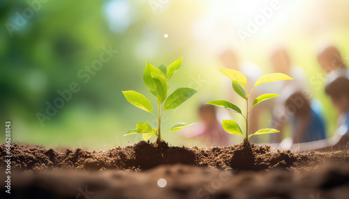 The seedling grows through the soil , safe nature day concept