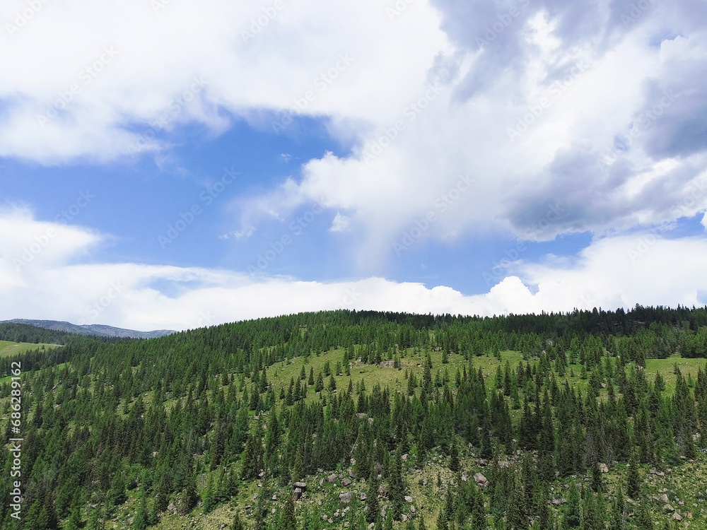 Aerial view of a green mountain landscape sprawling beautiful coniferous forest. Aerial view of a green mountain landscape sprawling beautiful coniferous forest.