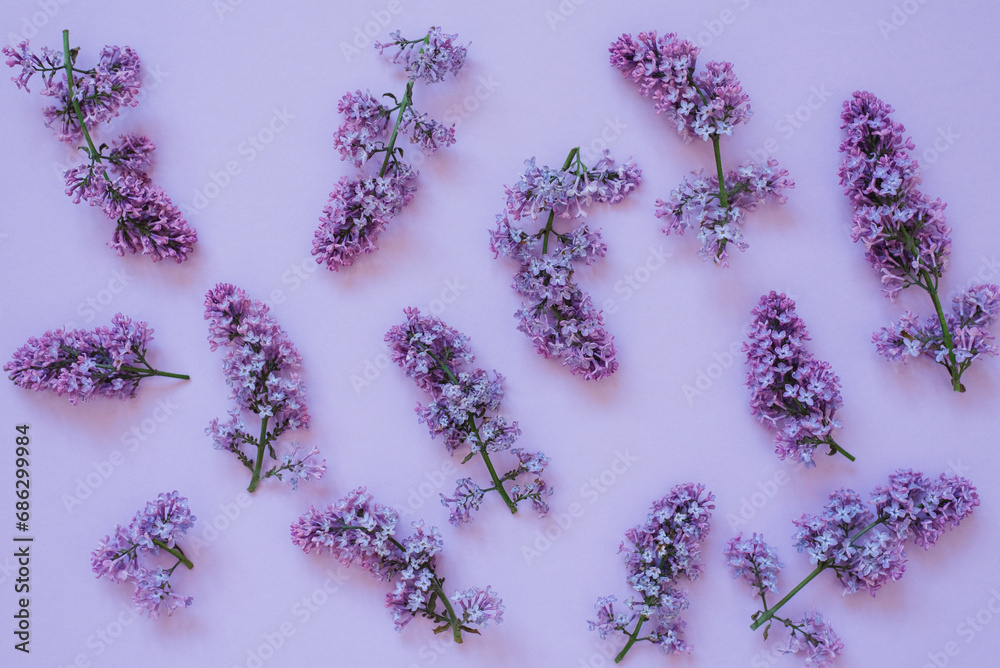 Lilac branches on a colored background. Easter, March 8, Mother's Day, spring has come Lilac branches on a colored background. Easter, March 8, Mother's Day, spring has come