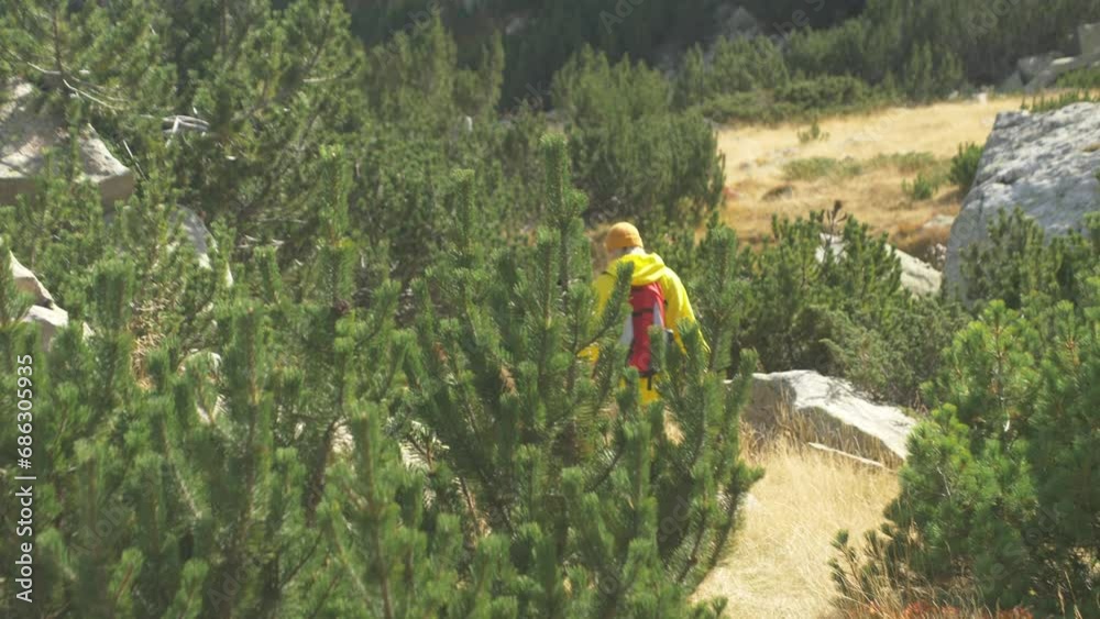 Excited woman walking through landscape outdoors. An active girl enjoys her vacation in the forested mountains. Smiling tourist on a hike. A joyful explorer going on a tourist adventure.
