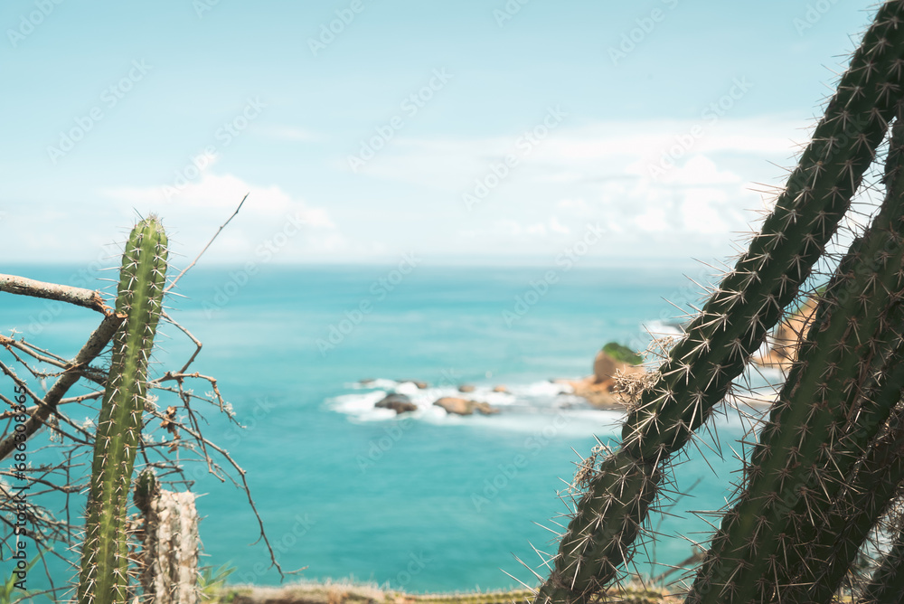 native prickly succulent cactus plants line the overlook high above a backdrop of turquoise blue ocean water along the Pacific coast of this tropical nation island shores native prickly succulent cactus plants line the overlook high above a backdrop of turquoise blue ocean water along the Pacific coast of this tropical nation island shores