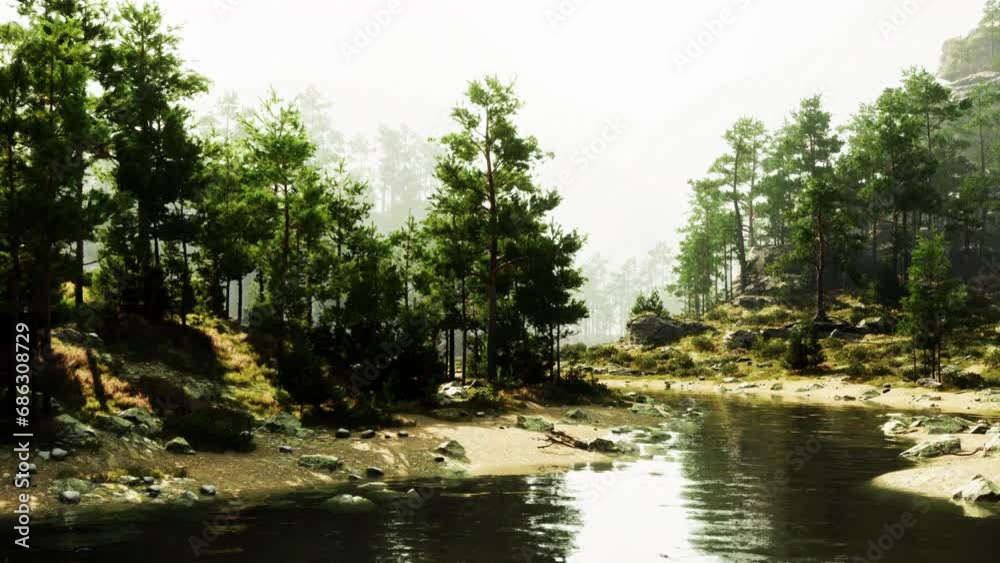 A body of water surrounded by trees and rocks A body of water surrounded by trees and rocks