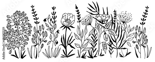 Vector nature seamless background with hand drawn wild herbs, flowers and leaves on white. Doodle style floral illustration.