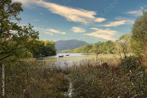 Wunderschöner Schilfgürtel in Killarney Irland mit Berg und Waldlandschaft.