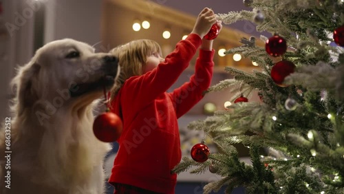 Preparations for Christmas are in full swing as boy and his dog decorate tree with cheerful red balls, eagerly anticipating arrival of New Year. Festive spirit fill home joy and magic. Cinematic AD