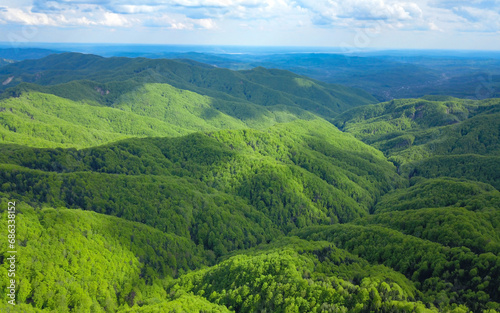 Aerial drone view above a wooded hilly area. The wild beech forest bursts in bright green color due to the coming of spring season. Sunlight appears through the cloud shades. Carpathia, Romania