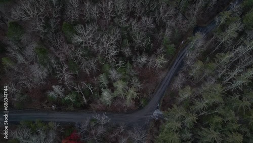 lowering over a rural dirt gravel road with power lines and bare trees (winter evening, night, dusk footage) forest, nature, aerial drone shot looking down 4k (moody, dark, foreboding) no leaves, fall photo
