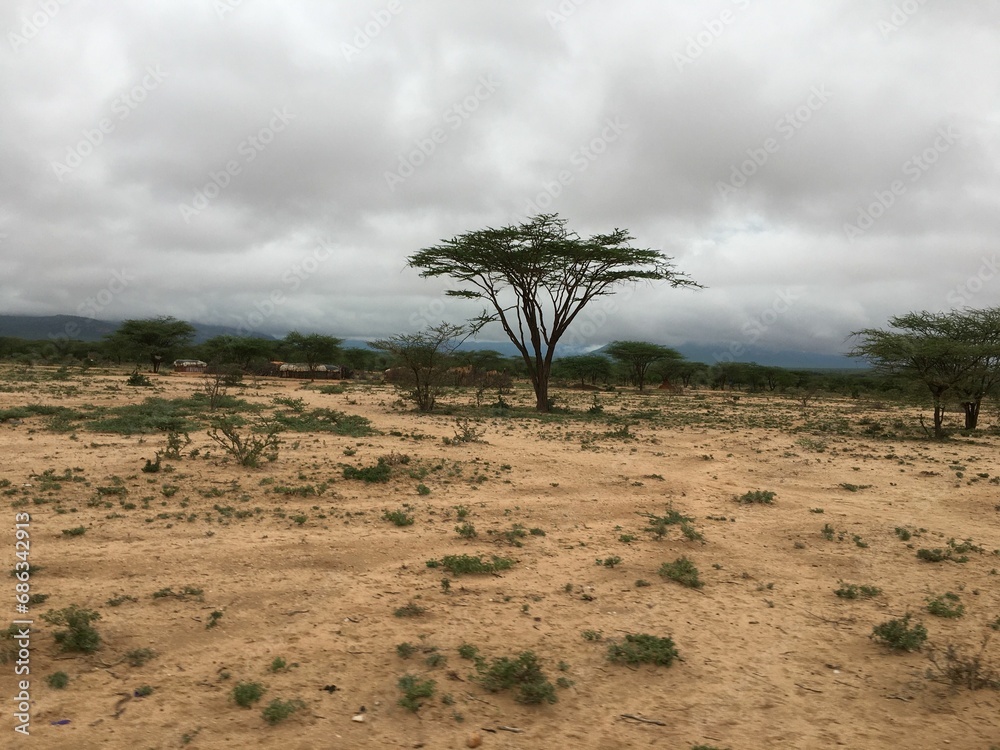 Barren landscape with a few trees in the distance and a cloudy sky above